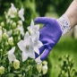 GEBOL-Pracovné rukavice  FLOWER LILA č.7,